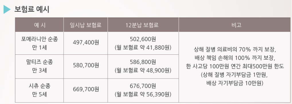 펫보험
