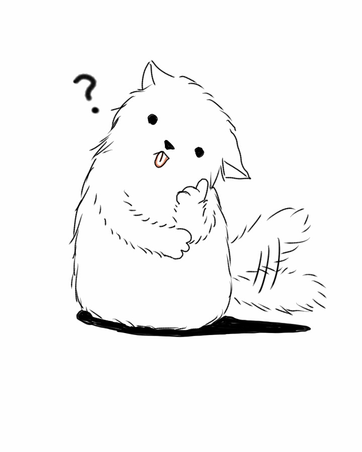 펫보험