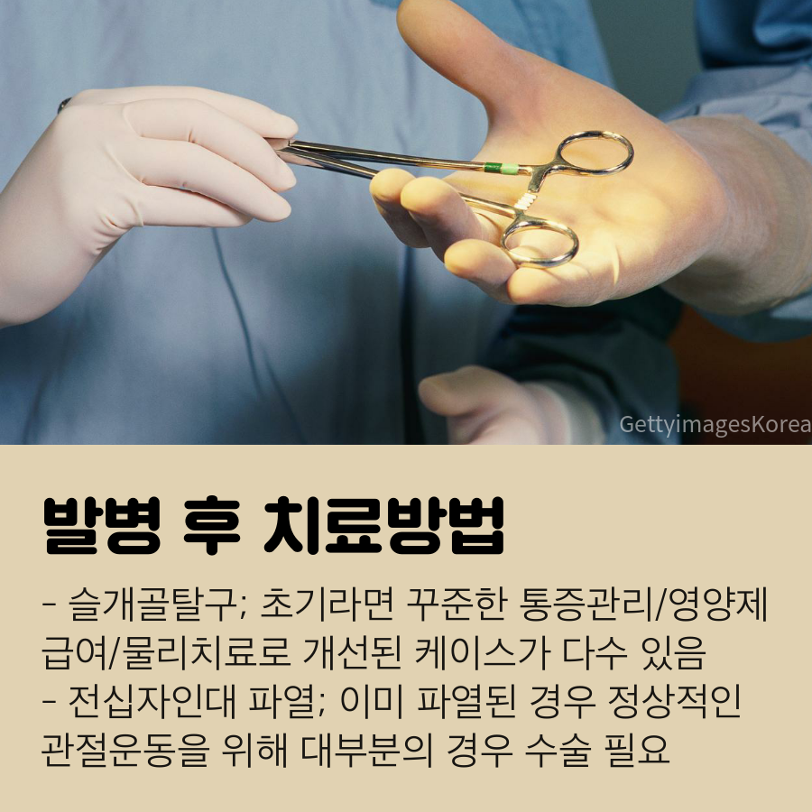 강아지 무릎관절