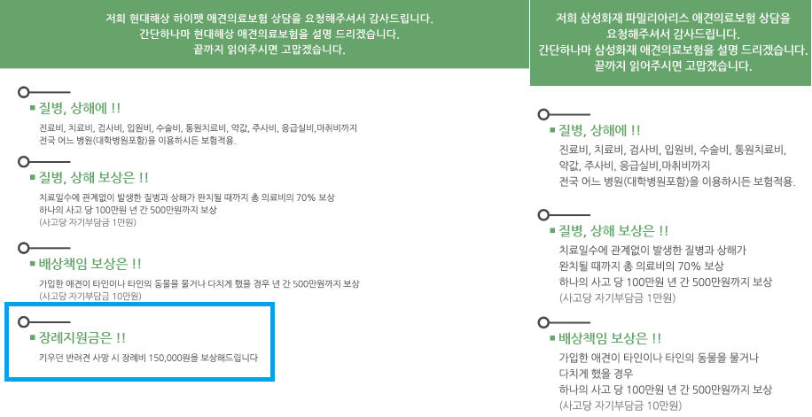 펫보험