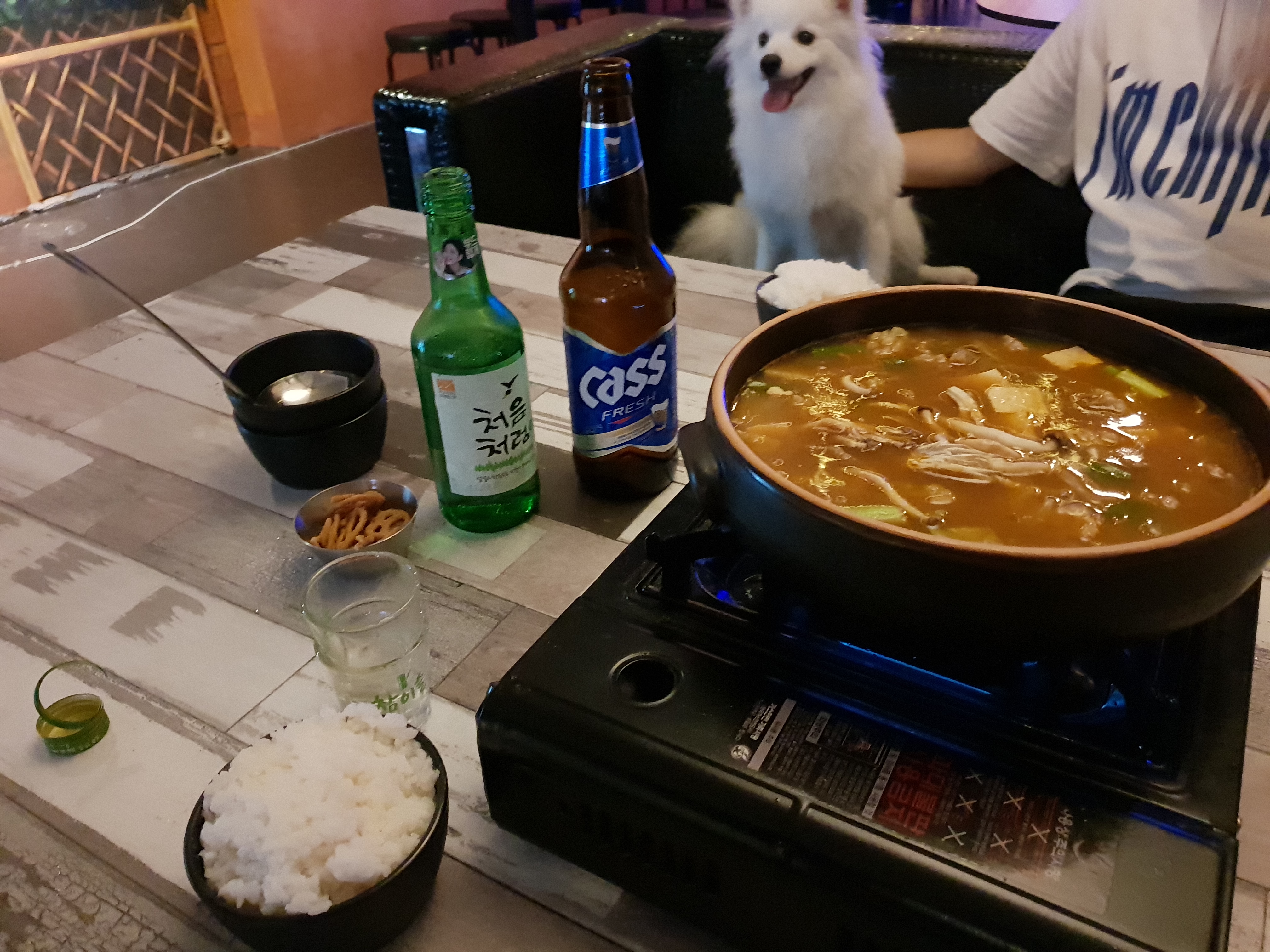 애견동반식당 박장포차