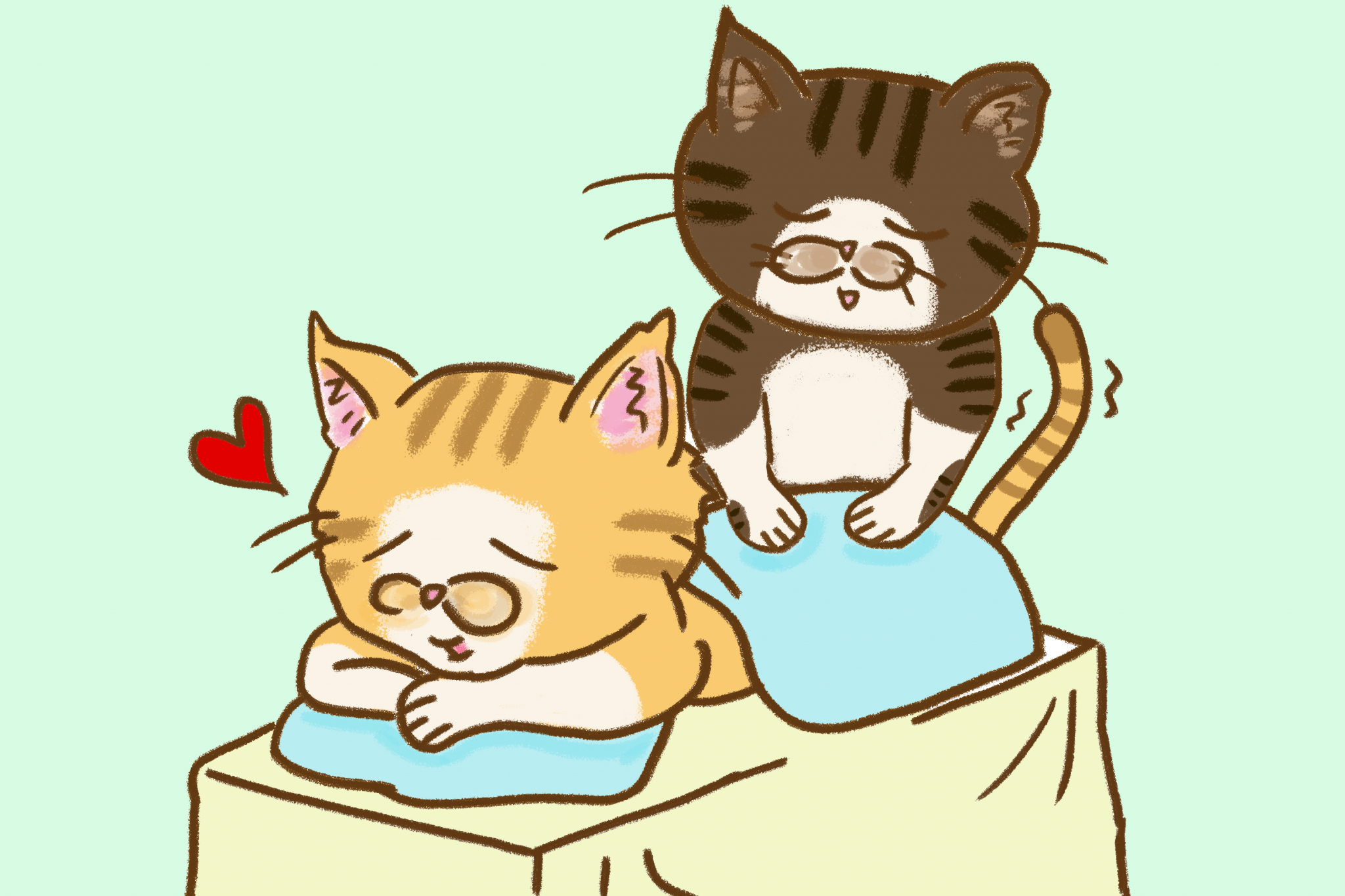 고양이 마사지