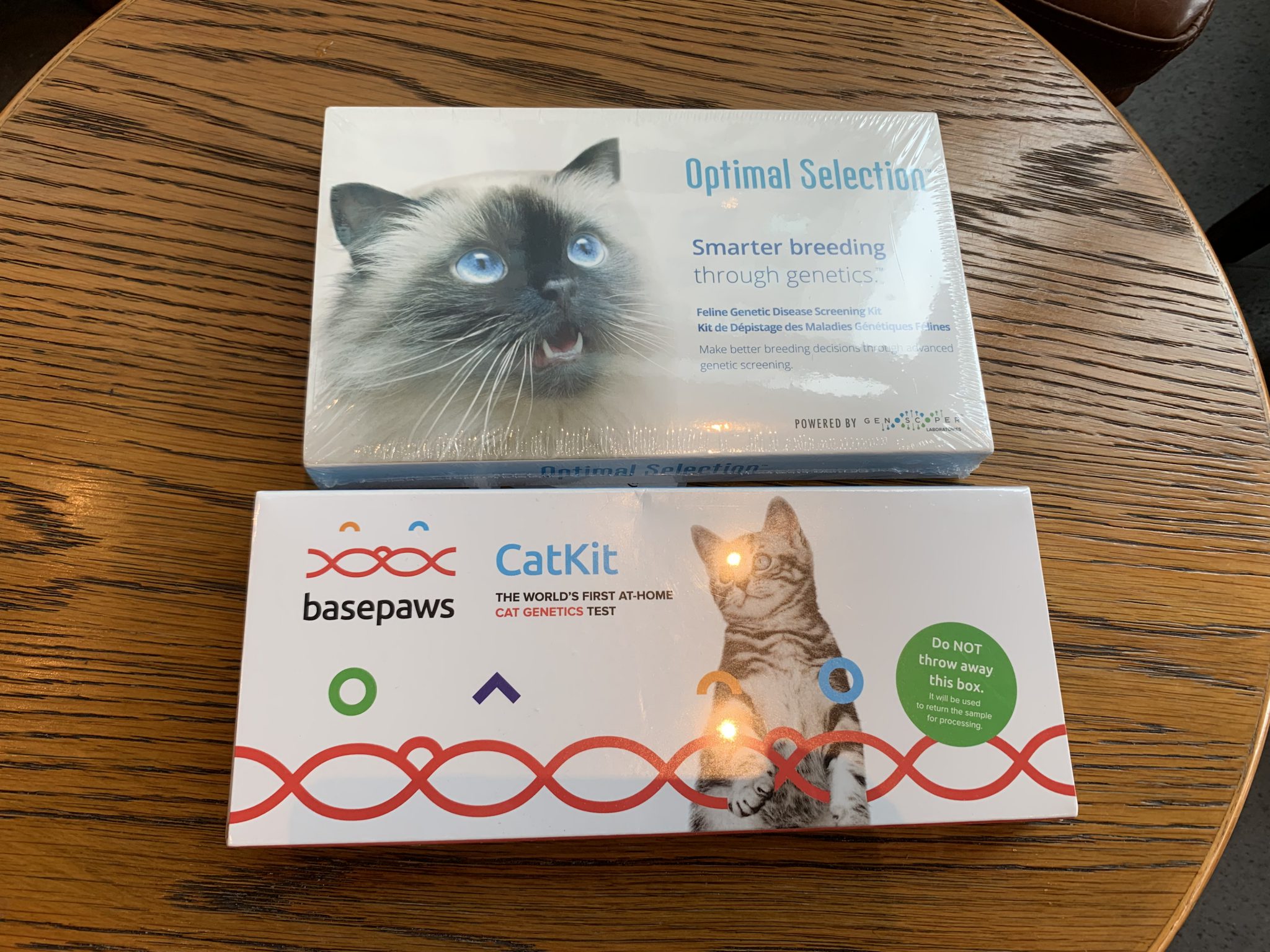 고양이 유전자 검사