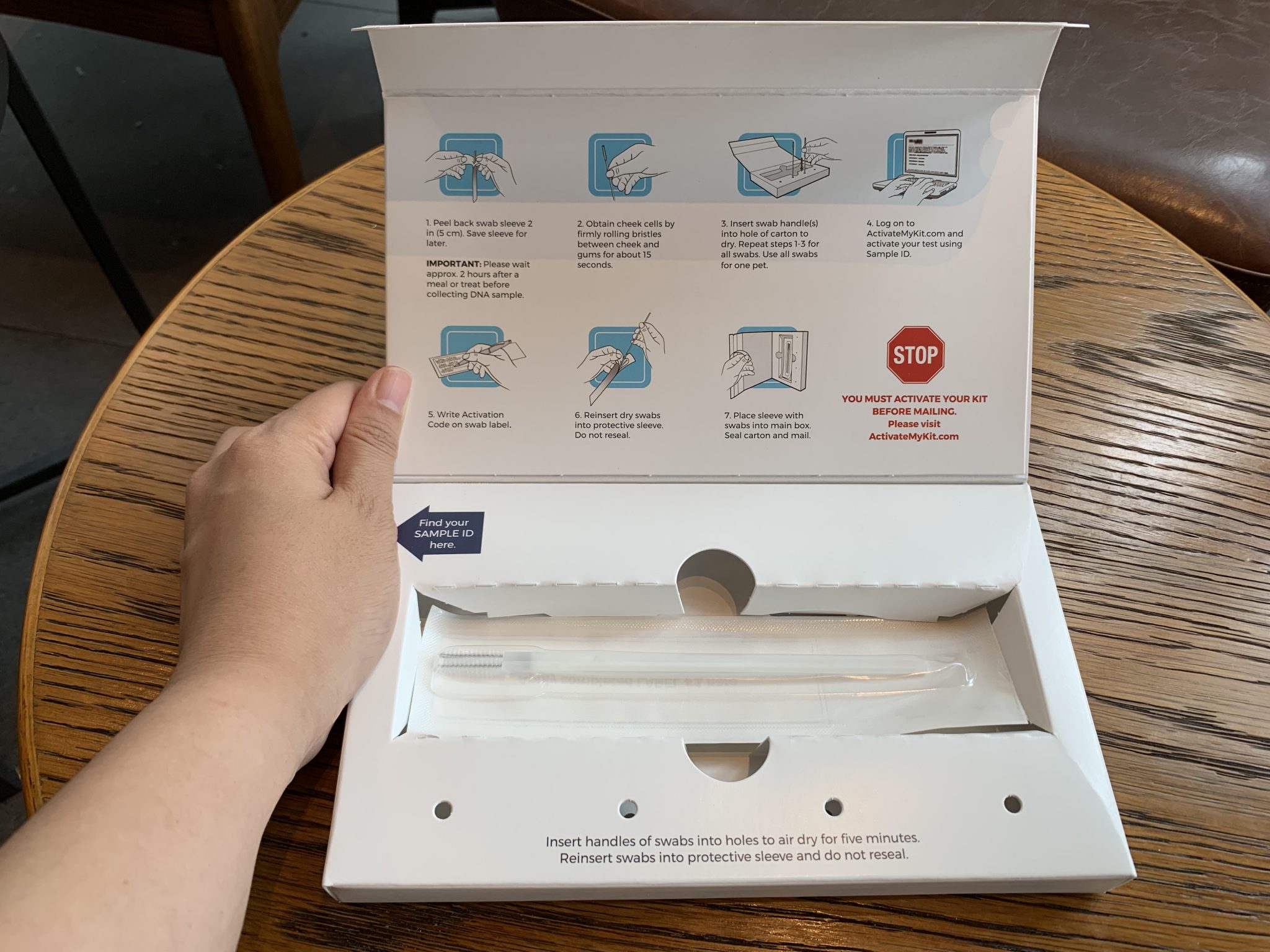 고양이 유전자 검사