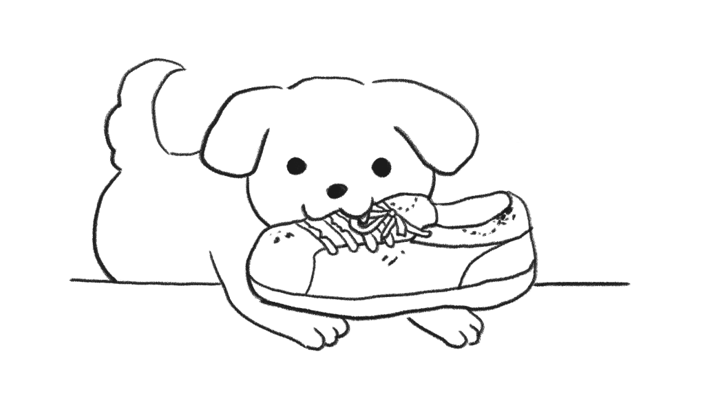 강아지 이갈이