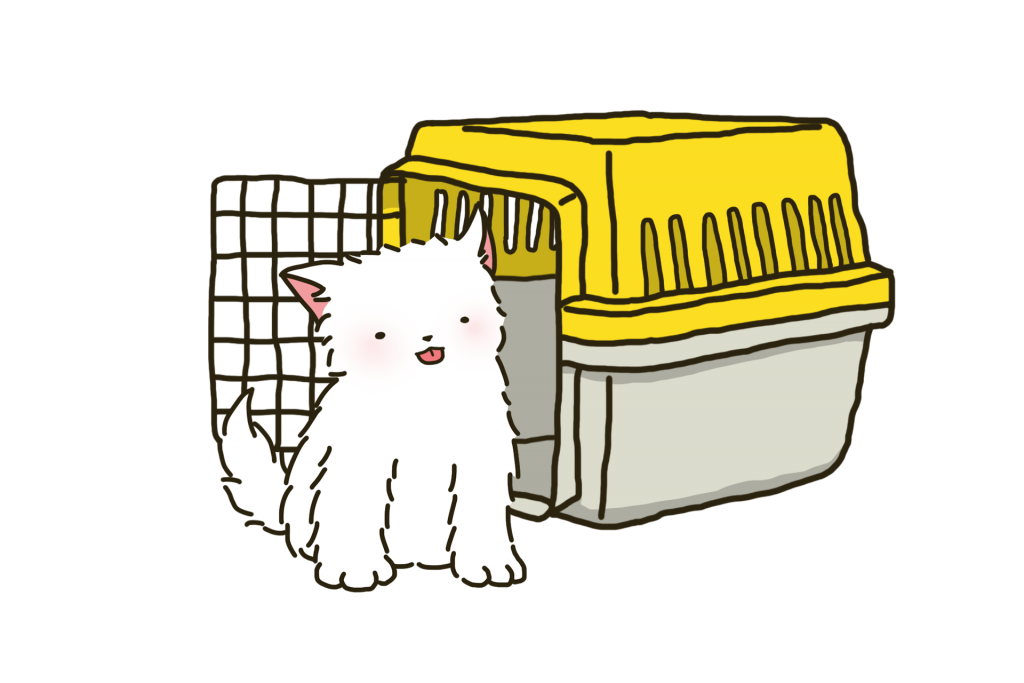 강아지 케이지