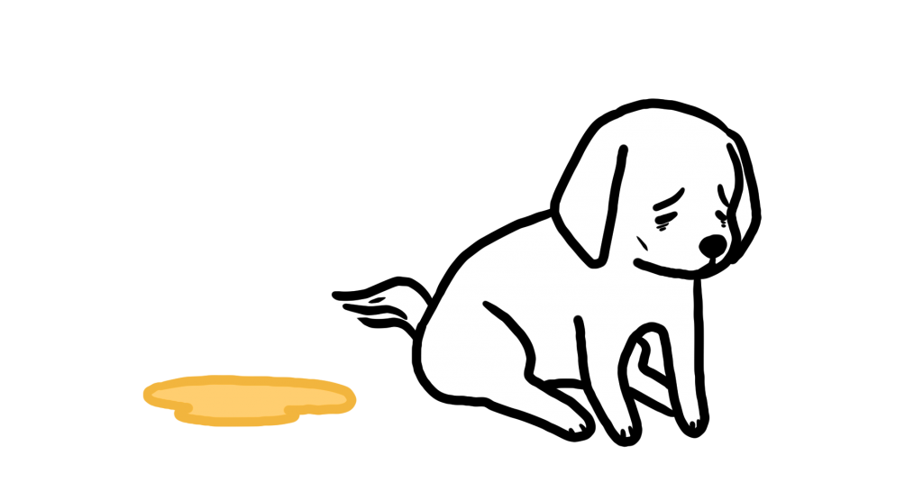 강아지 죽음