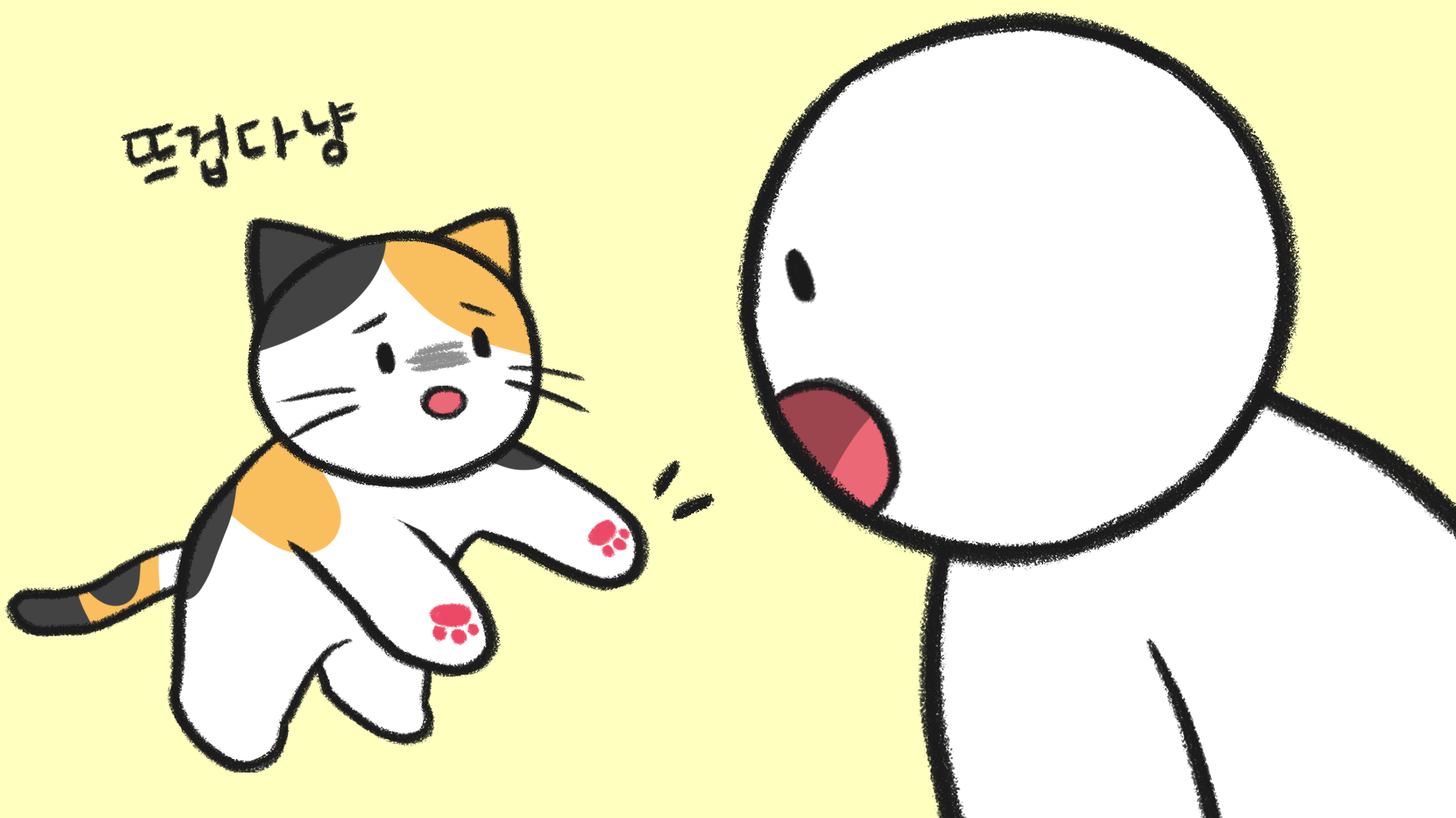 고양이 키울 때