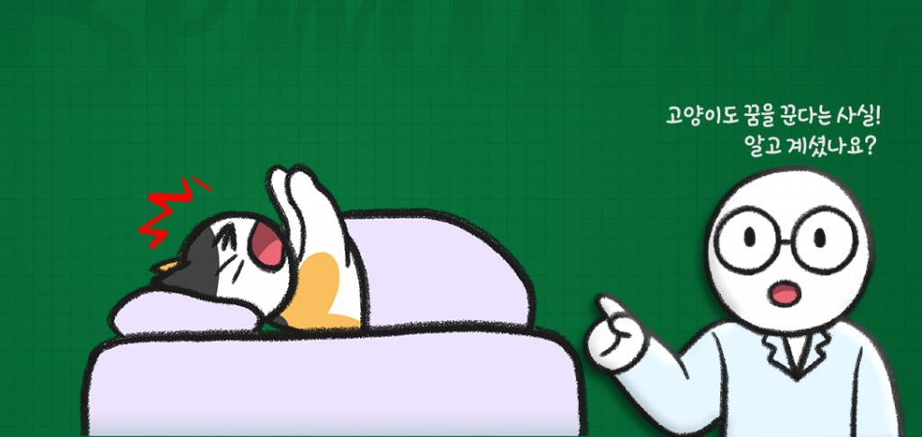고양이가 잘 때