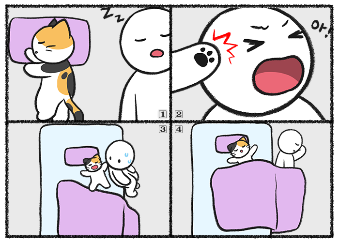 고양이가 잘 때