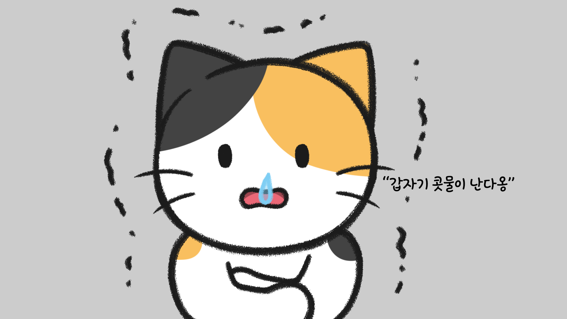 고양이 허피스