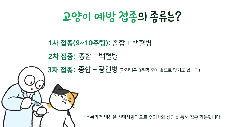 고양이 예방접종