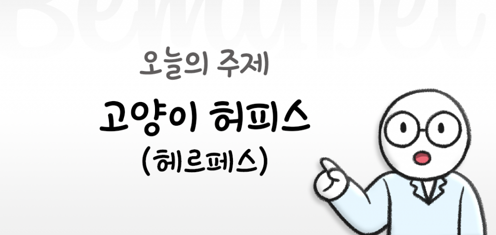 고양이 허피스