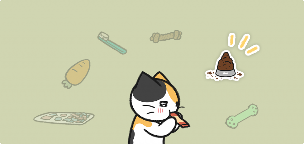 고양이 밥그릇