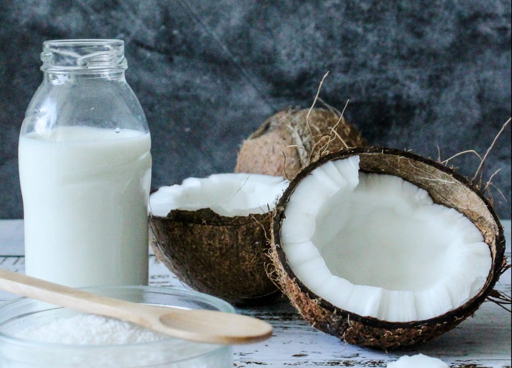 강아지 우유 먹으면