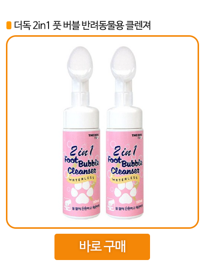 강아지 산책 후 발