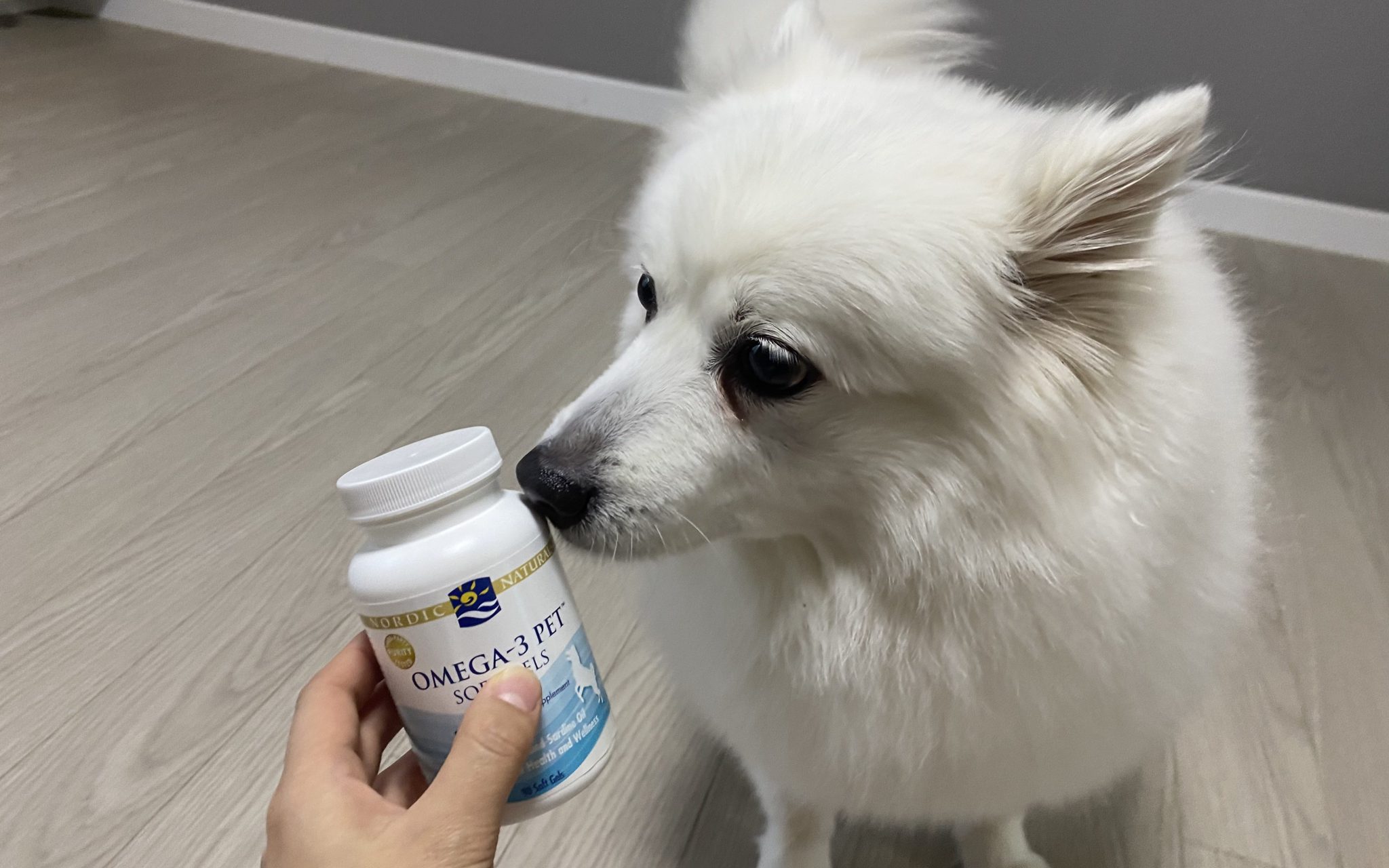 노르딕 강아지 오메가 3