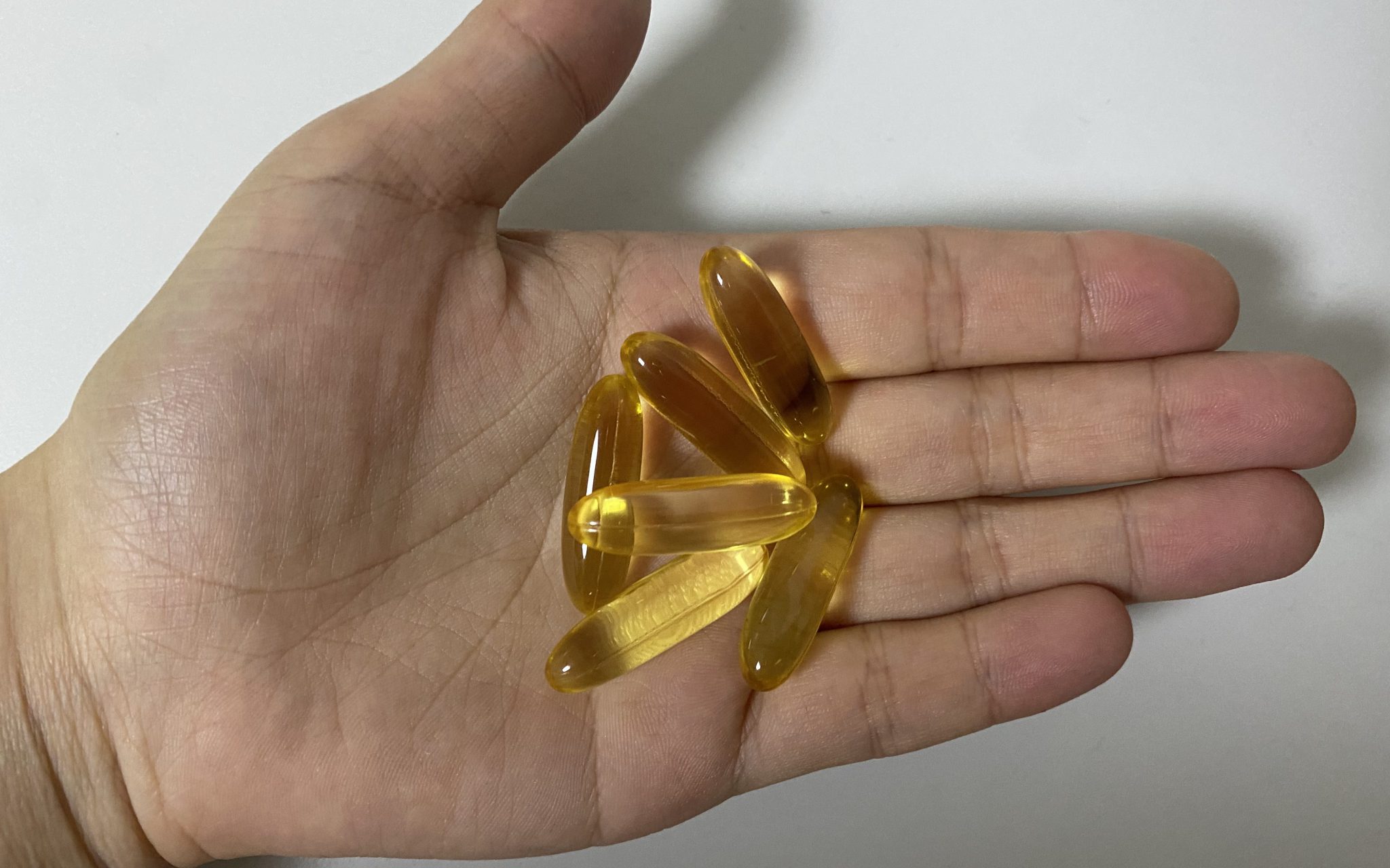 노르딕 강아지 오메가 3