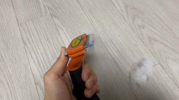 강아지 죽은 털