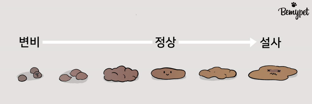 강아지 똥 상태