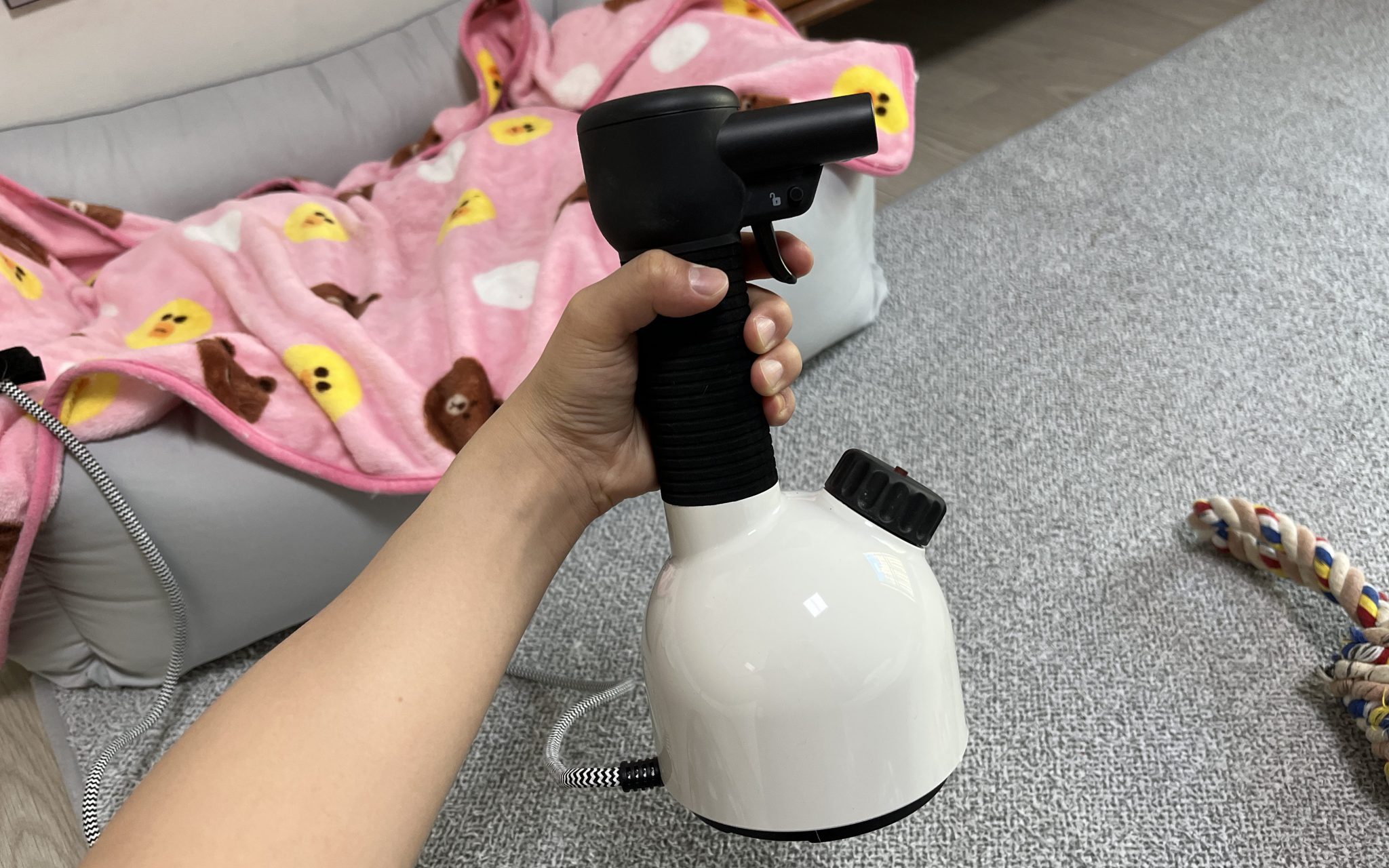 강아지 알레르기