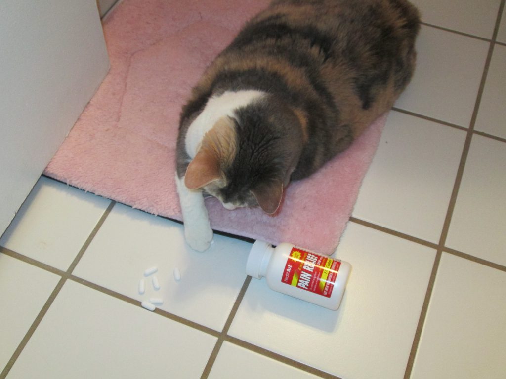 고양이 오메가 3