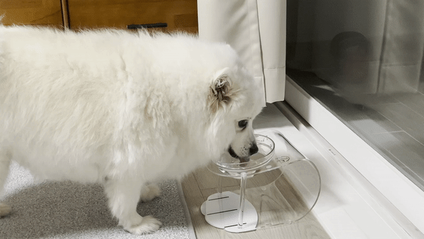 강아지 식기 매트