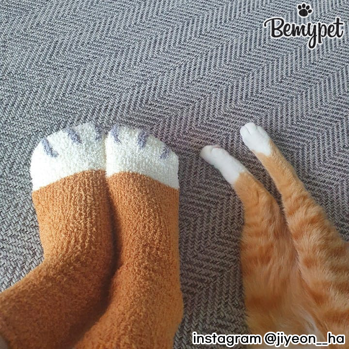 고양이 양말