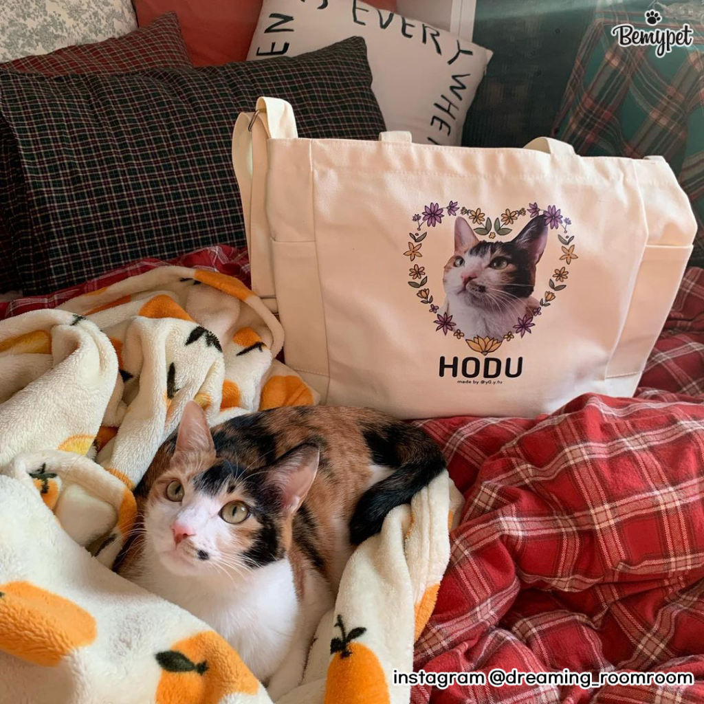 고양이 가방