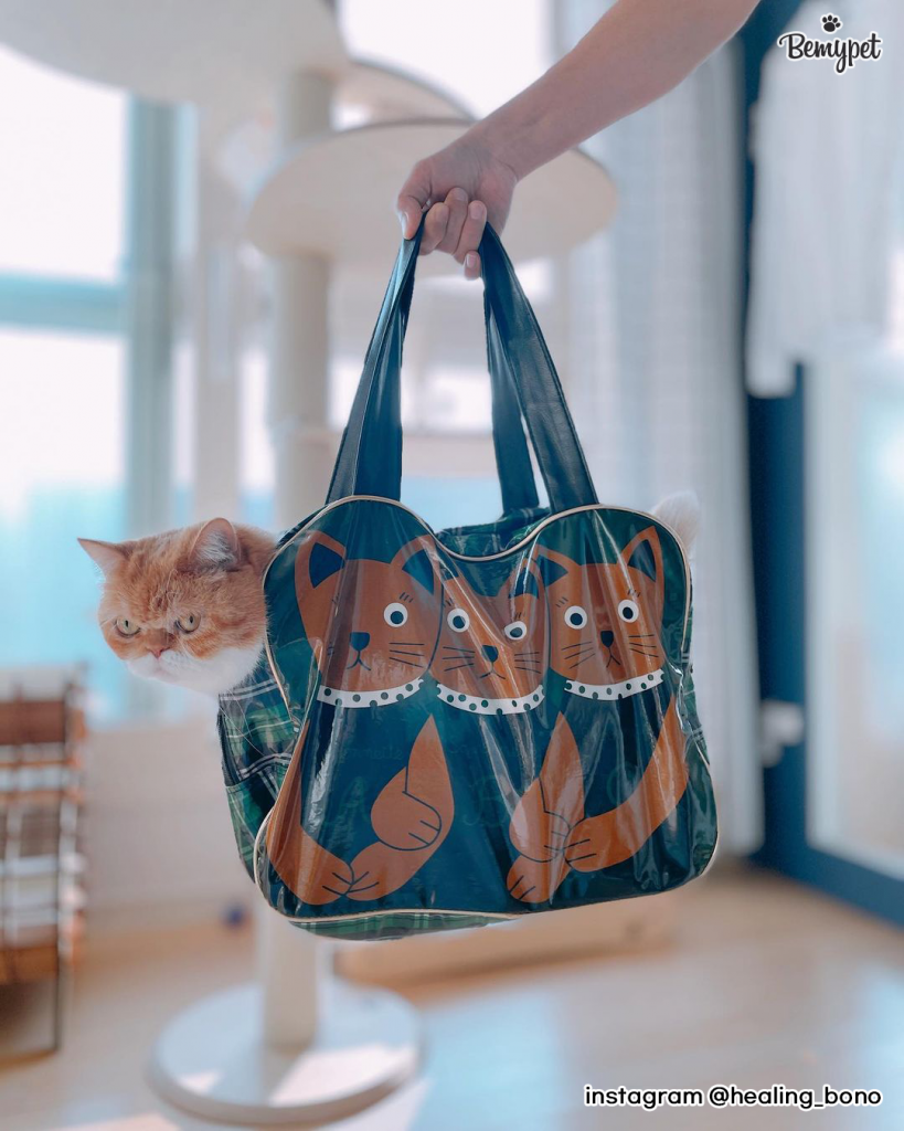 고양이 가방