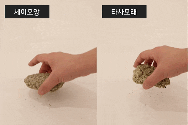 고양이 벤토 모래