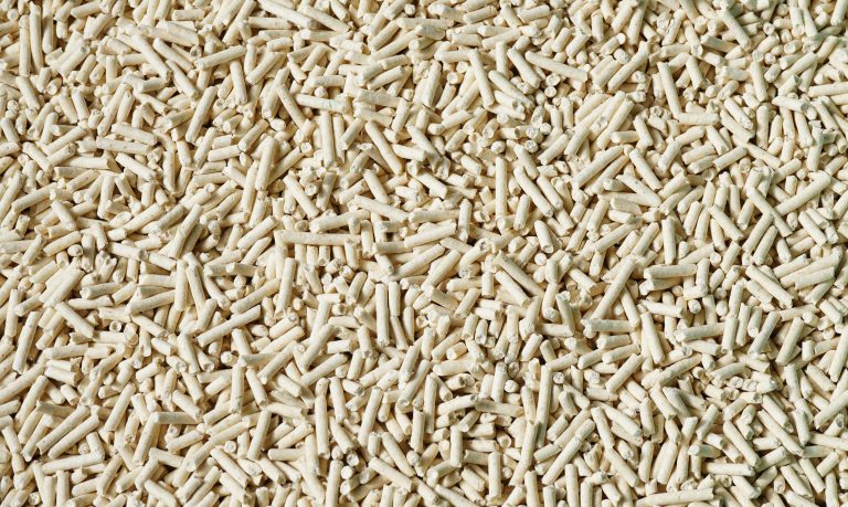 고양이 모래 브랜드