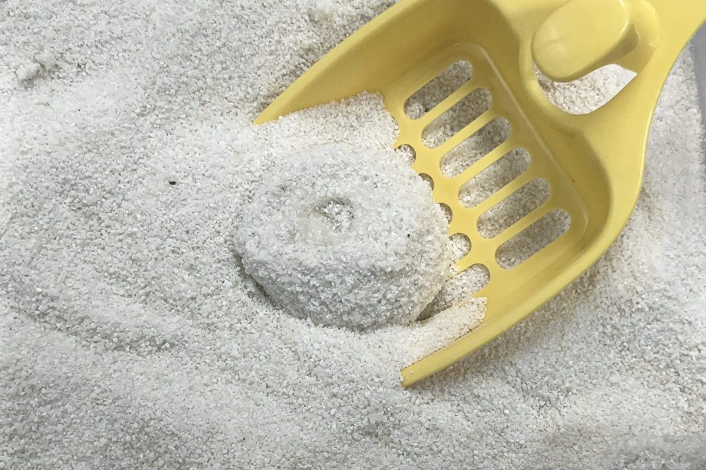 고양이 모래 브랜드