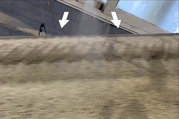 고양이 벤토나이트 모래