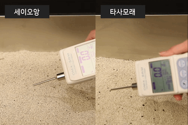 먼지 없는 고양이 모래