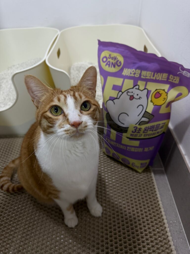 세이오앙 벤토나이트 모래